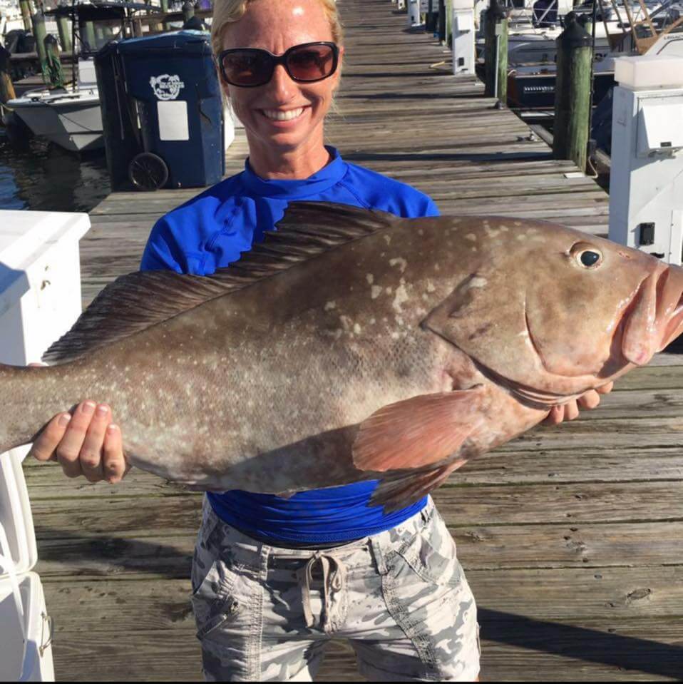 What will we catch: Red Grouper