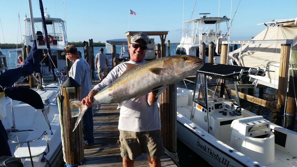 What will we catch: Greater Amberjack